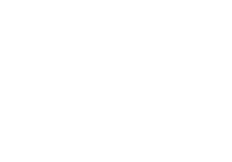 Koala and Fox